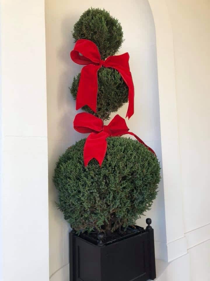 Photos of Holiday decorations at the White House. Photos courtesy of Scott Reed. 