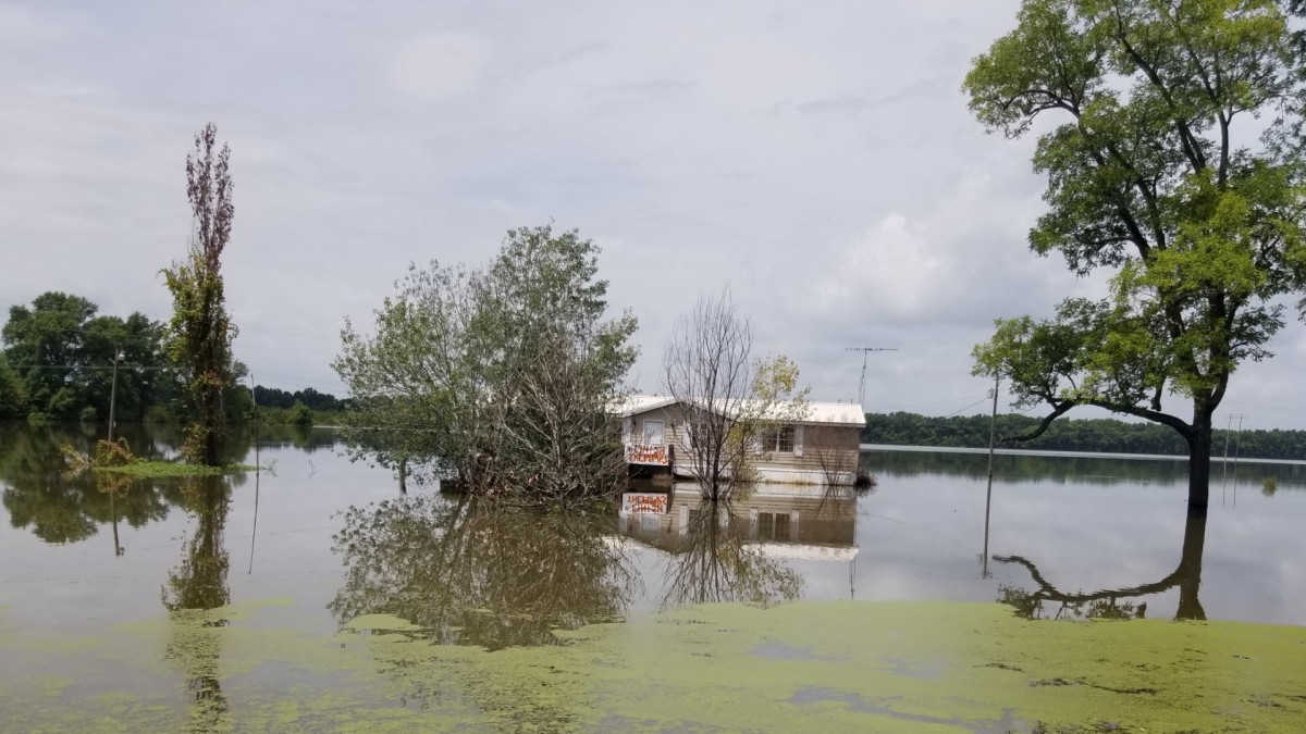 Flood