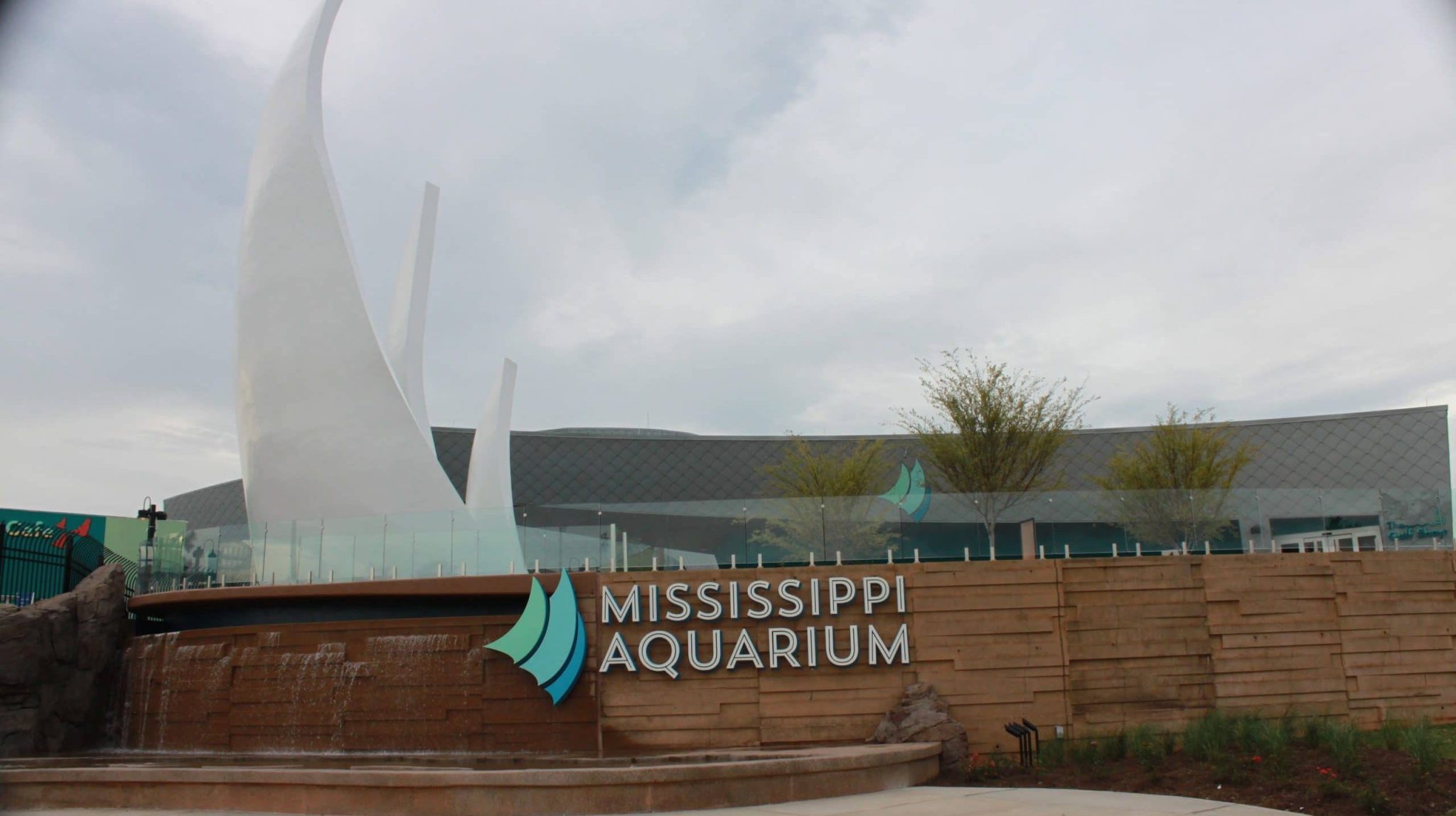 Box turtle at Mississippi Aquarium uplifted by new abilities through 3D ...