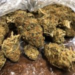 Medical marijuana