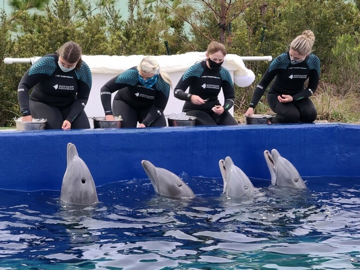Mississippi Aquarium to offer free admission to teachers over the weekend - Vimarsana News