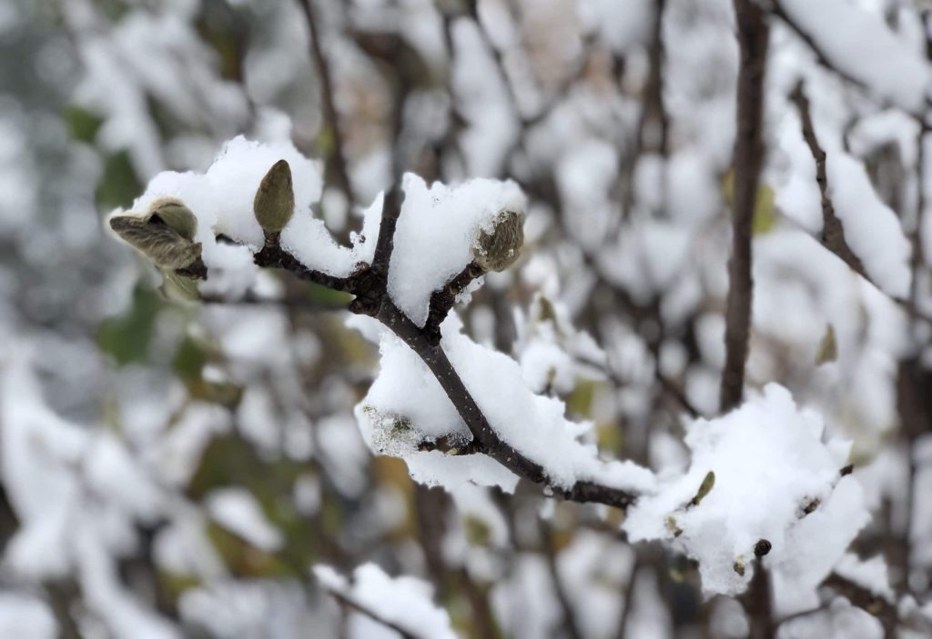 Your Mississippi forecast for Friday, January 23