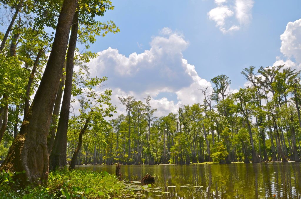 $9.8M allocated for 21 outdoor stewardship projects - SuperTalk Mississippi - Vimarsana News