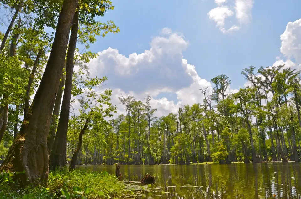 Long-debated Mississippi outdoor funding bill passed by House and