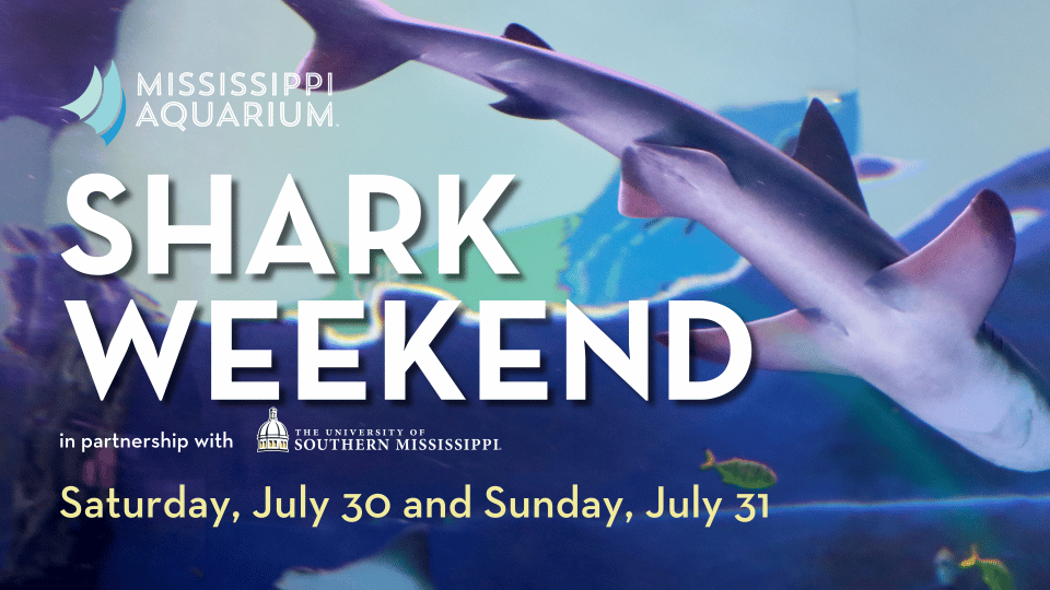 Shark Weekend