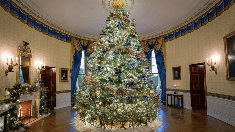 Mississippi native represents state while decorating White House for