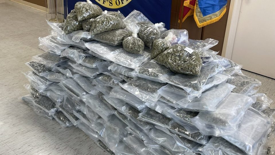 Nearly 240 pounds of marijuana seized in Hinds County drug bust