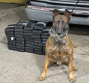 44 kilos cocaine