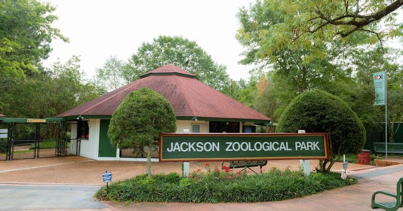 Jackson Zoo