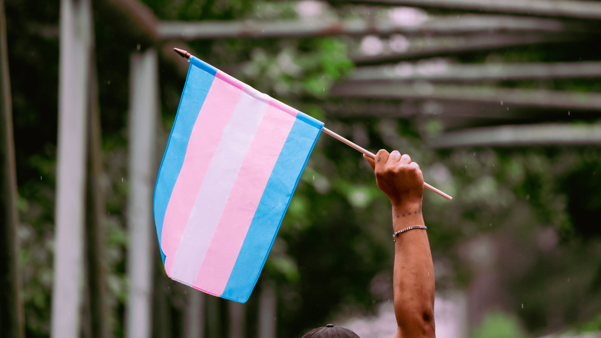 Mississippi lawmakers send bill restricting where transgender people can use bathroom to governor - Vimarsana News