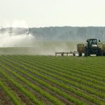 Mississippi Farm