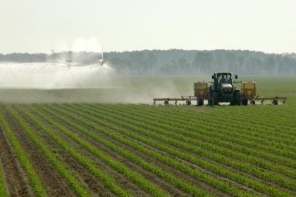 Mississippi Farm