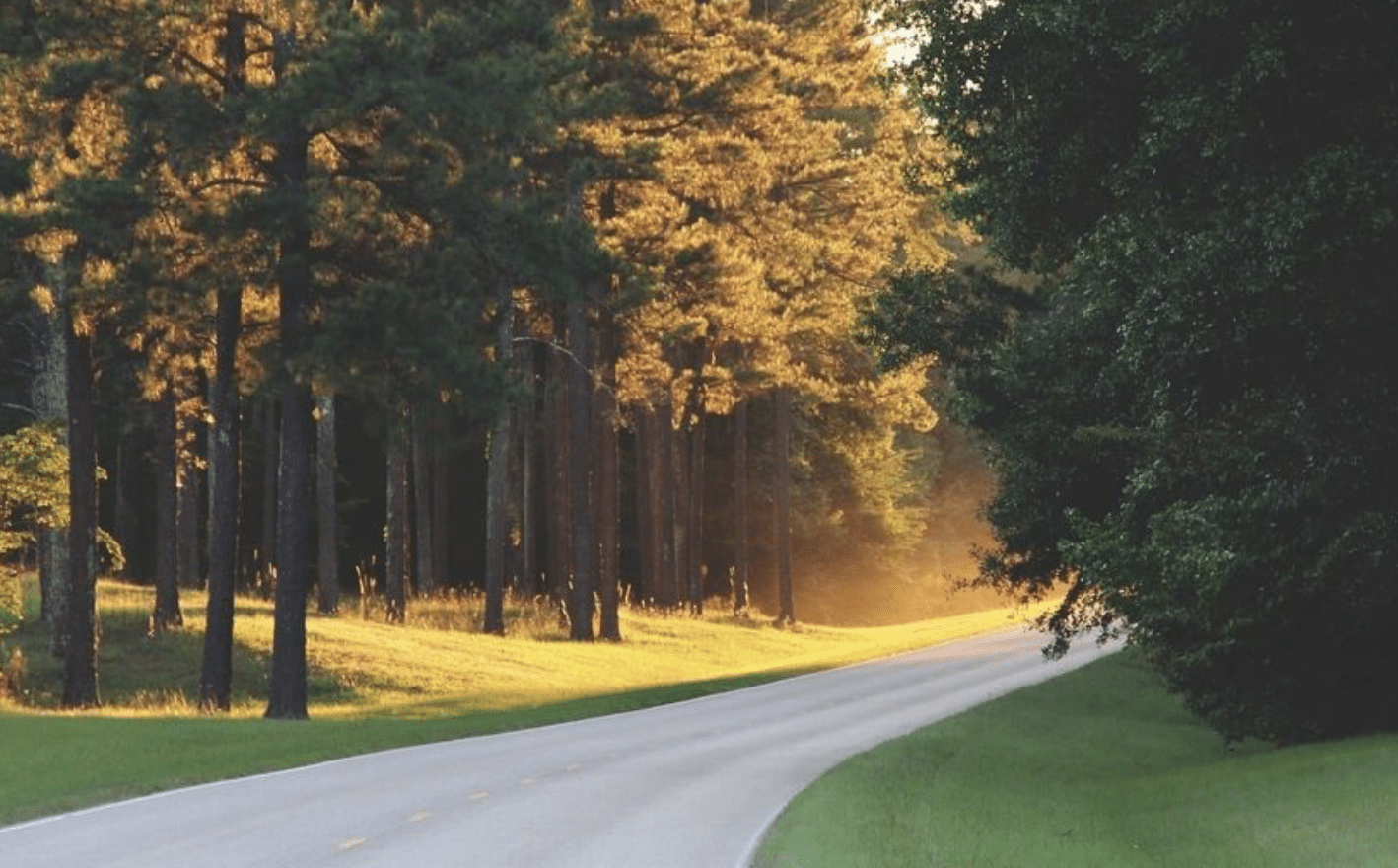 9 plead guilty to driving impaired on Natchez Trace - SuperTalk Mississippi - Vimarsana News