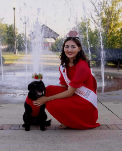 Tomato Queen