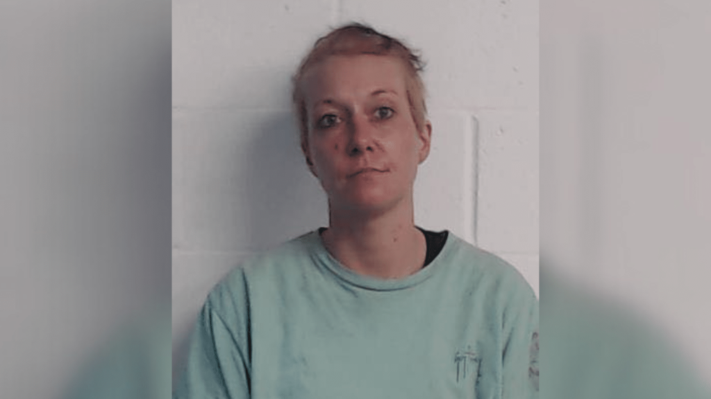Booneville woman arrested after slashing man's throat during domestic ...
