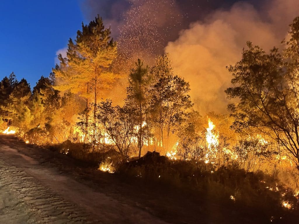 70 Mississippi counties under burn ban as extreme drought conditions continue - Vimarsana News