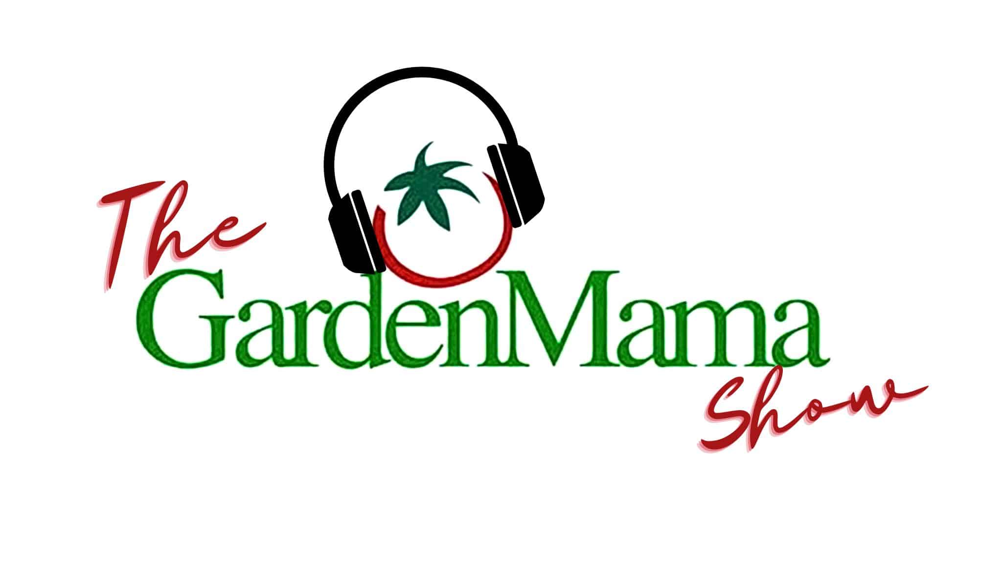 GM Logo