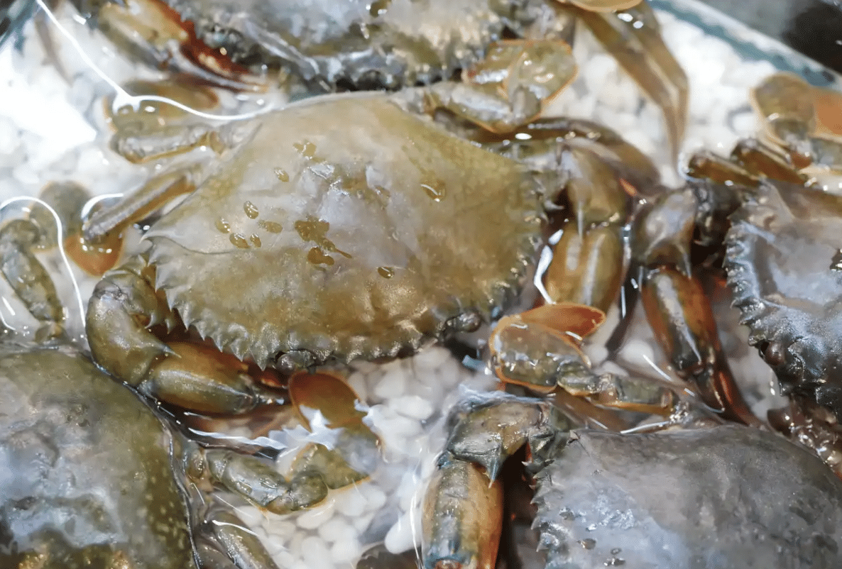 Robert St. John: Italians must adapt as blue crab invasion worsens - Vimarsana News