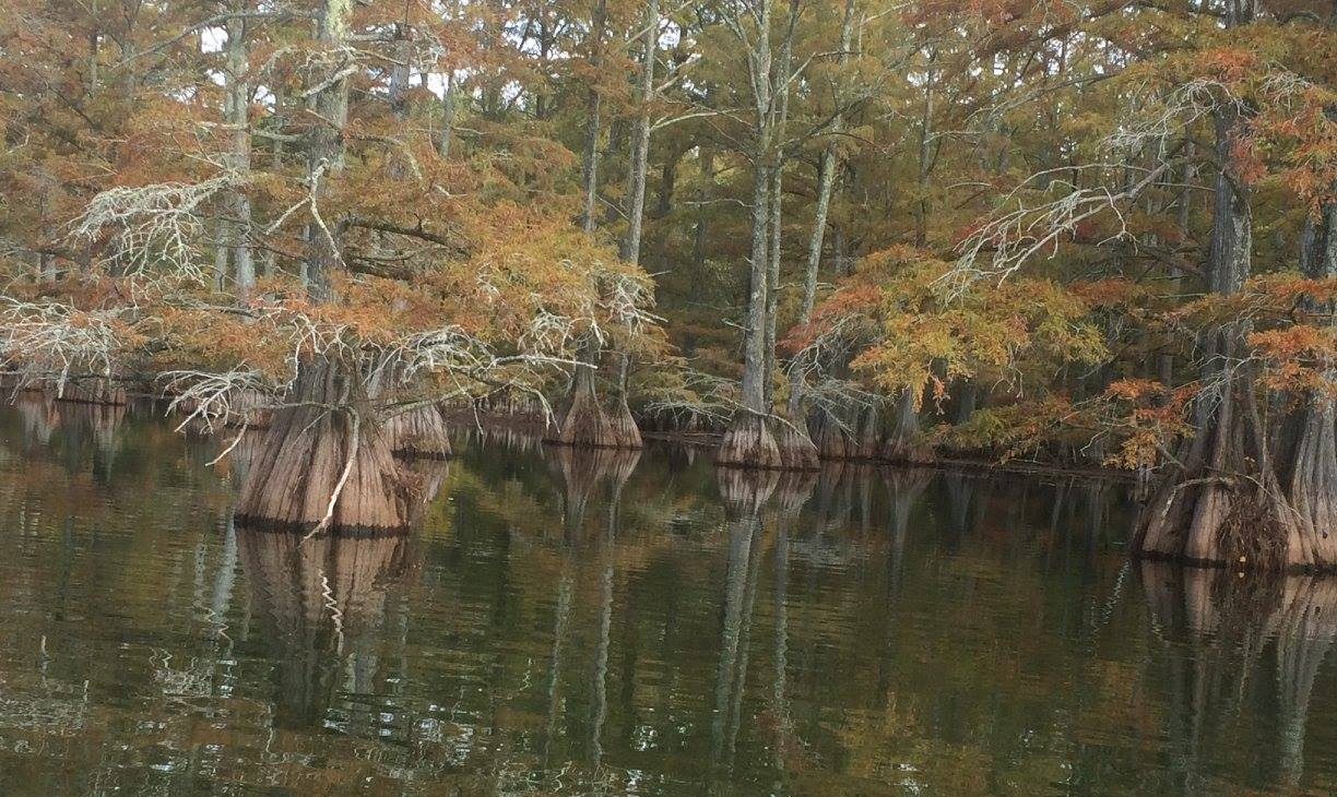 Missing man from September car accident found dead in Columbus lake - Vimarsana News