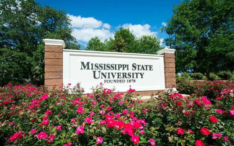 MSU