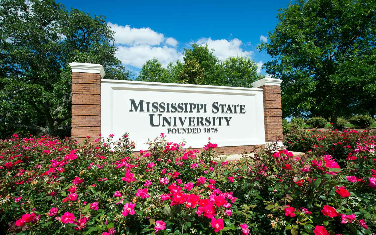 Mississippi State featured in Forbes' list of 'America's Best Large Employers' - Vimarsana News