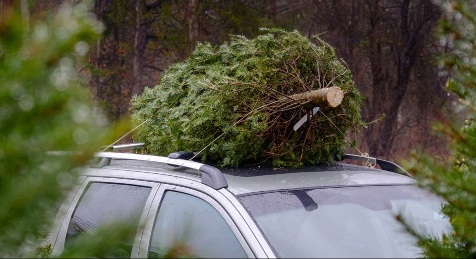 Christmas tree on vehicle