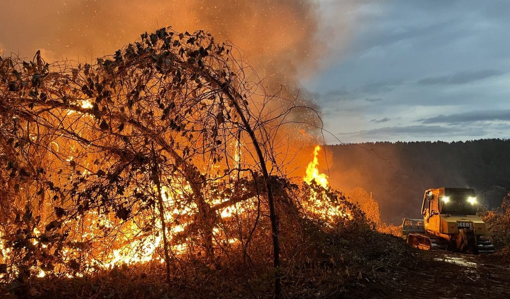Wildfires continue to run rampant across Mississippi despite recent rainfall - Vimarsana News