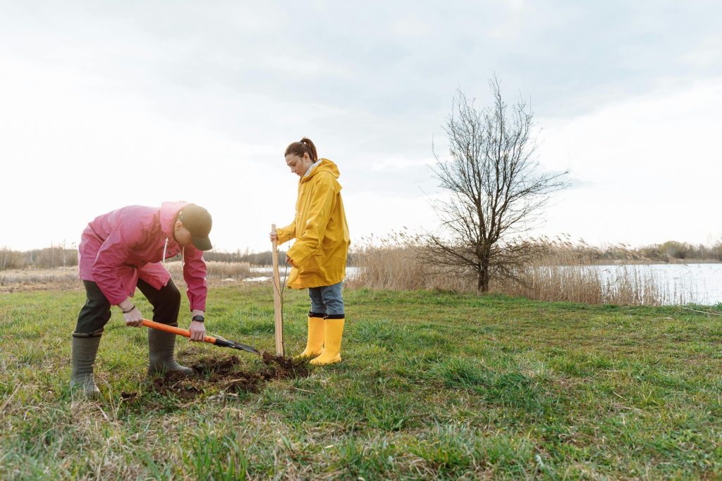 Gov. Reeves declares April as Safe Digging Month, encourages residents to call 811 - Vimarsana News