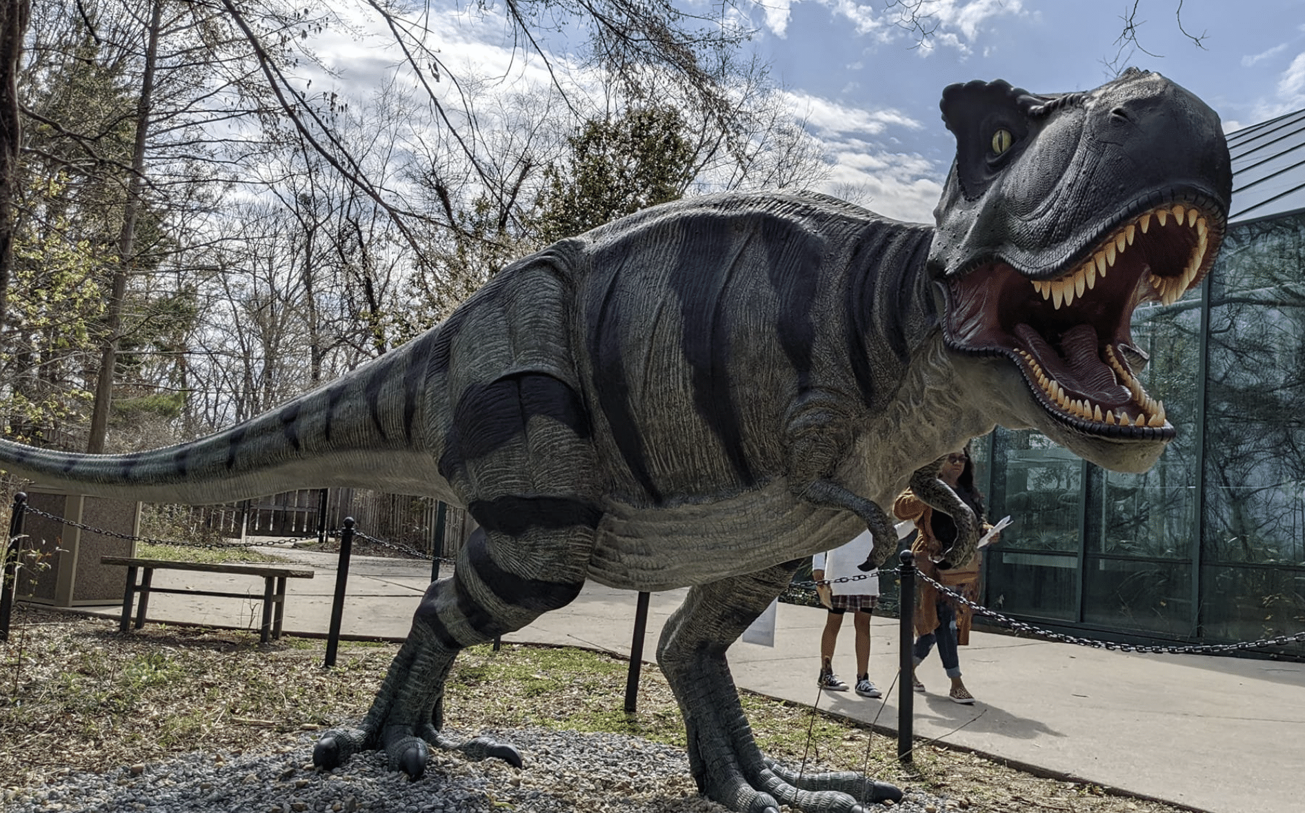 Exciting Dinosaur Exhibit Heading to Mississippi Museum of Natural Science