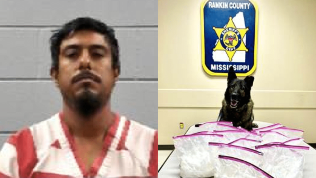 Rankin County deputies seize 44 pounds of meth during traffic stop ...