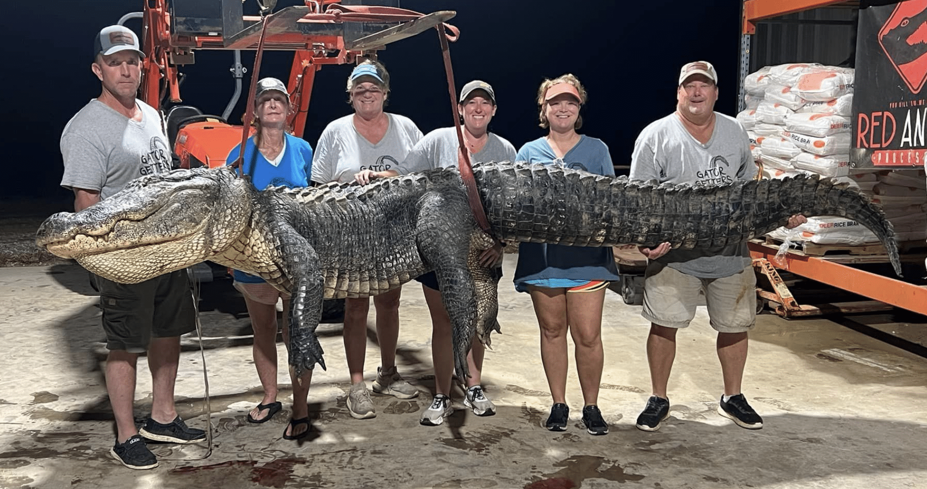 Near-record catch on Yazoo River kicks off alligator season