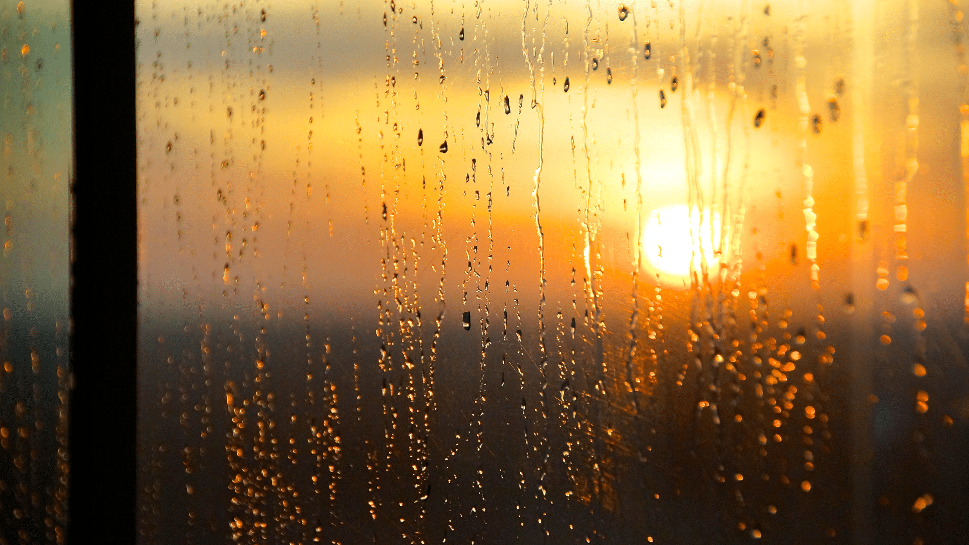 Your Mississippi forecast for Monday, December 22