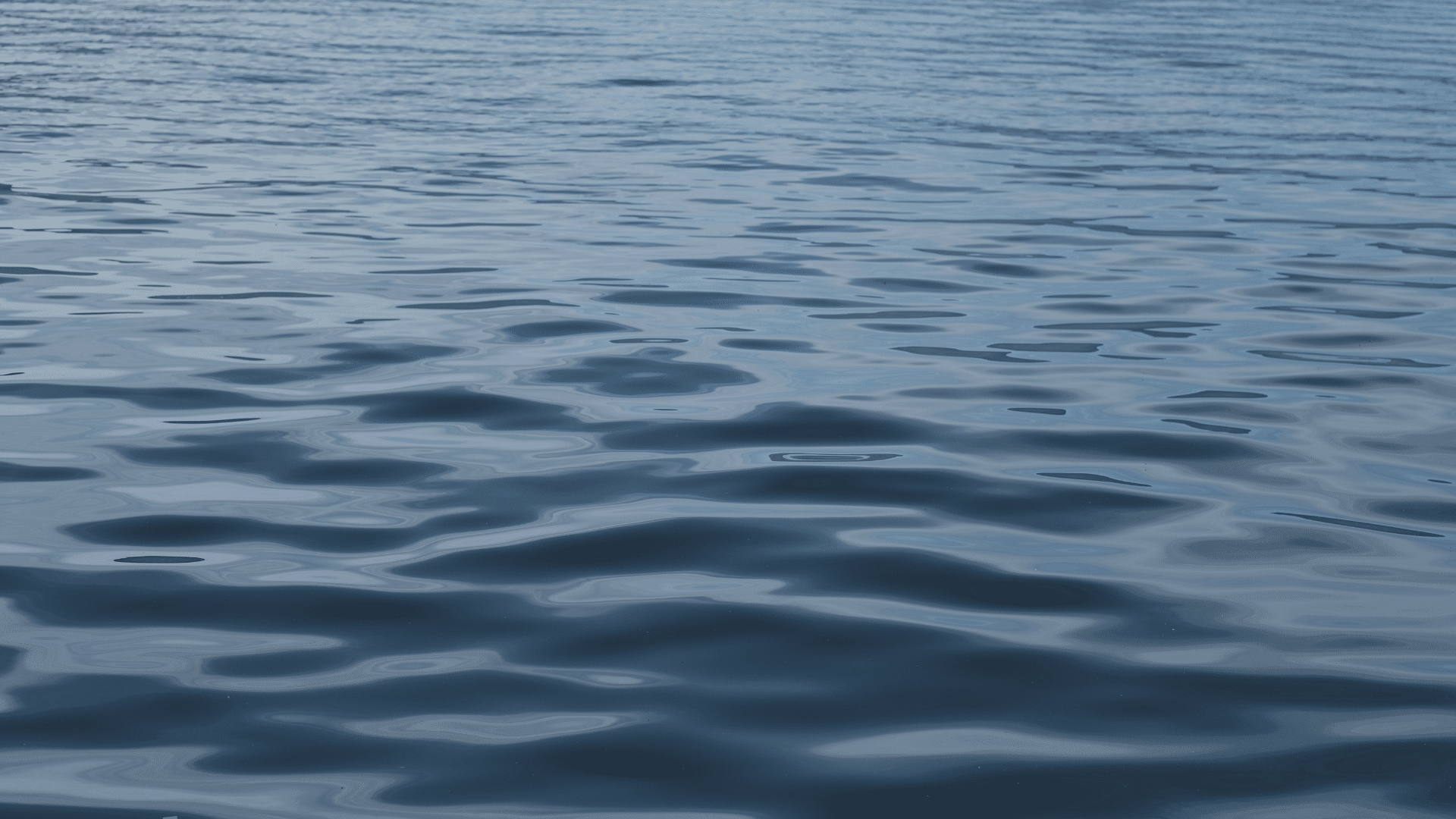 Mississippi hunter rescued after falling into Tombigbee River