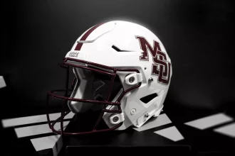 State helmet