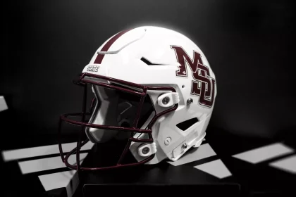 State helmet
