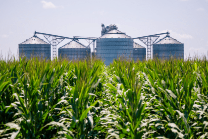 Delta Grain