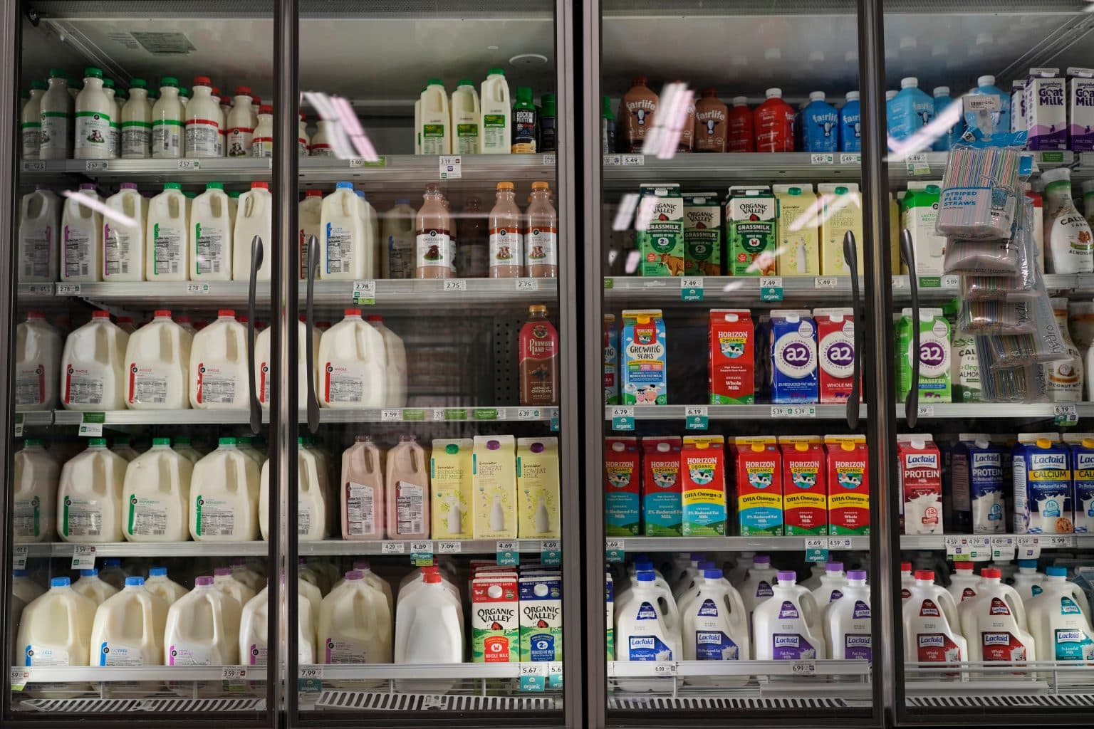Mississippi becomes first state to ban lab-grown milk with new law ...