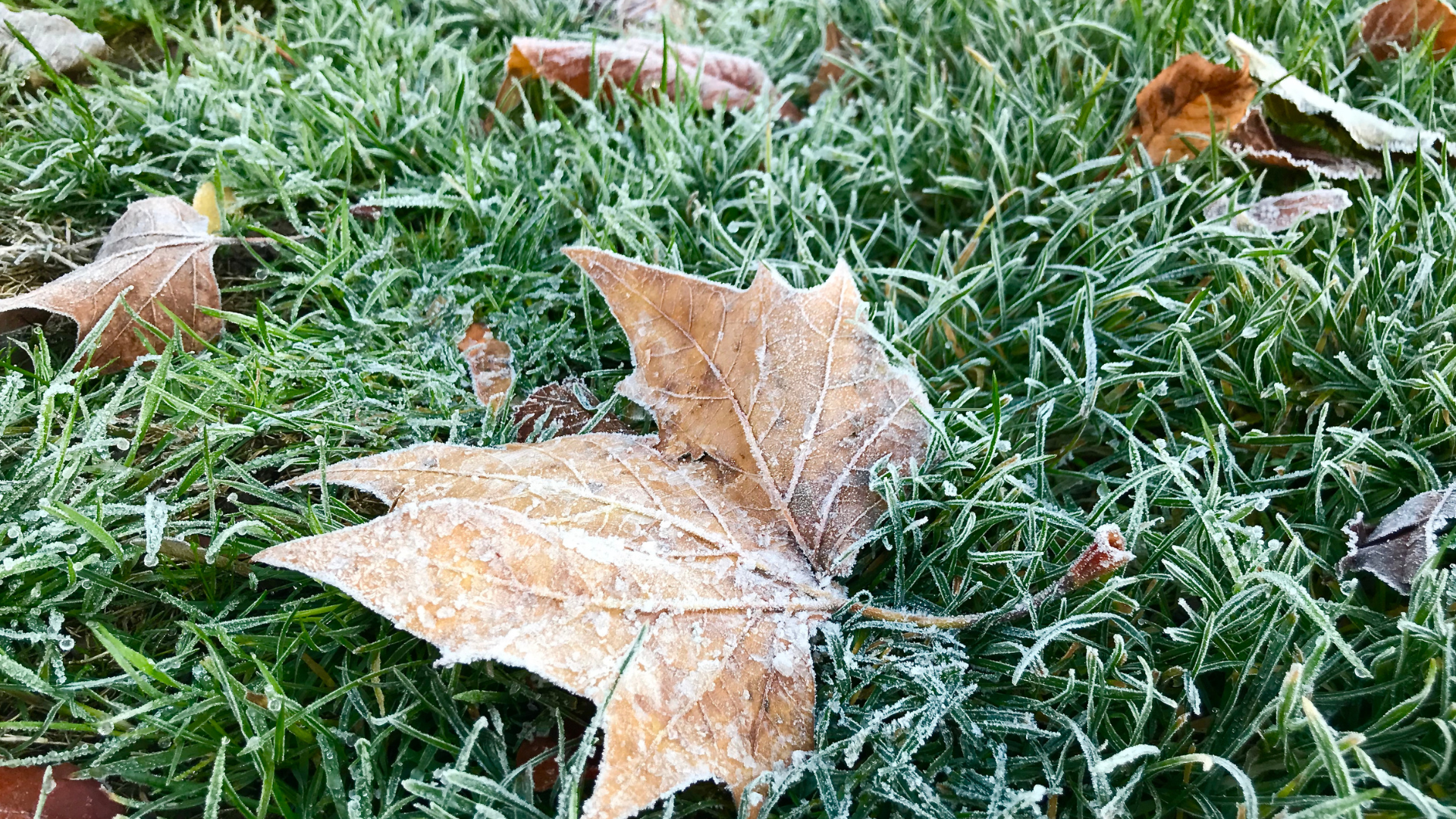 Your Mississippi forecast for Monday, February 2
