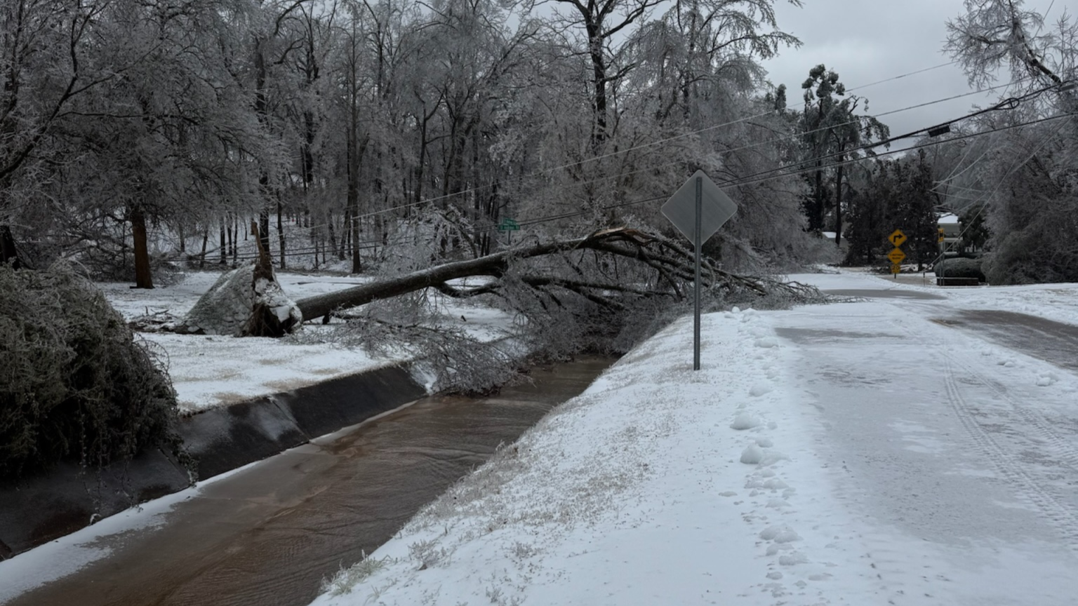 Winter Storm Fern brings to Mississippi hazardous roadways, flight ...