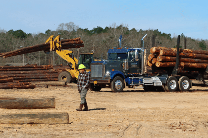 Carpenter Pole and Piling