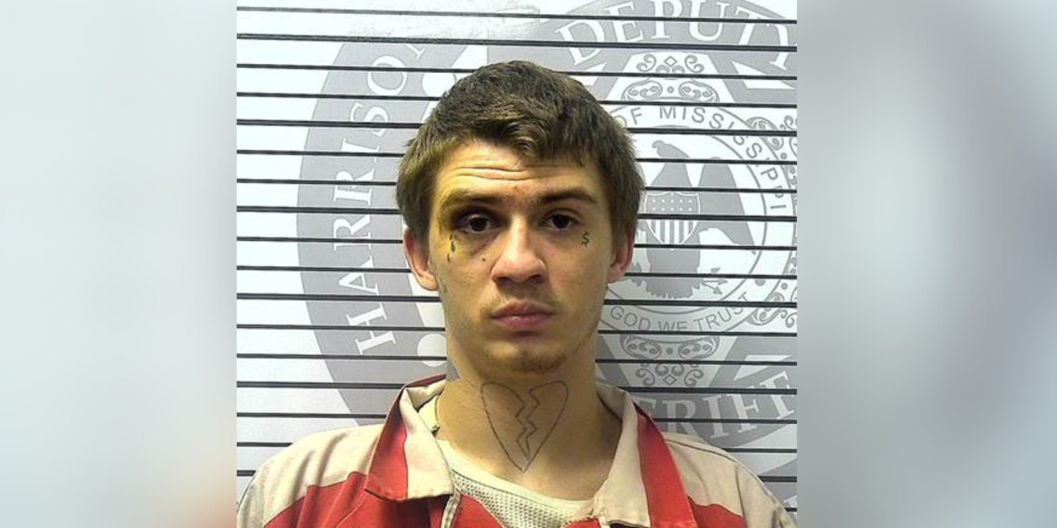 Habitual offender sentenced to 20 years for assaulting Gulfport police ...