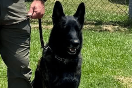 Police K-9 Floki