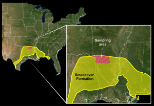Smackover formation